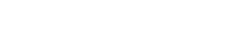 Logo Maximstore